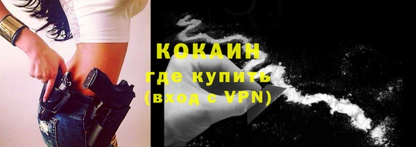 спайс Алзамай