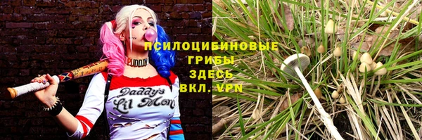 кристаллы Алексин