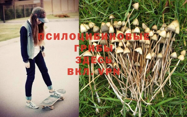 спайс Алзамай