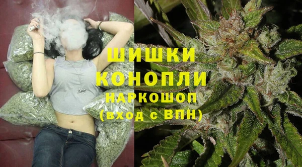 спайс Алзамай
