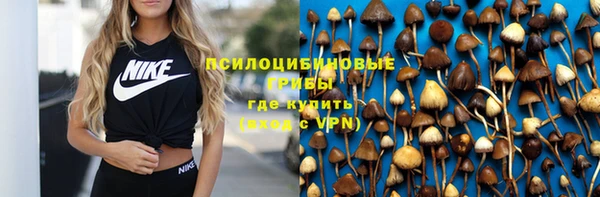 спайс Алзамай