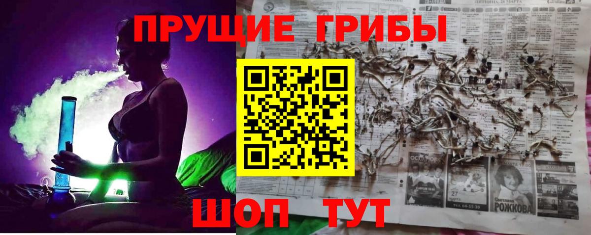 Псилоцибиновые грибы мицелий  Псилоцибиновые грибы Magic Shrooms  Родники  Вход с VPN 